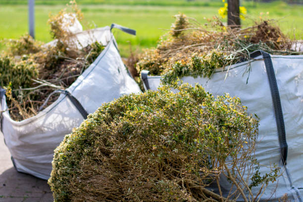 Best Professional Junk Removal  in Delhi, CA